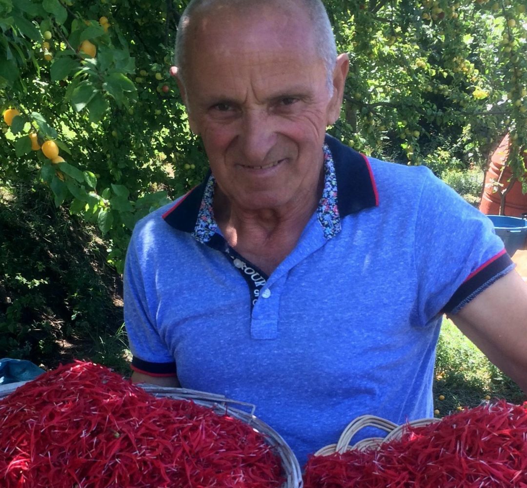 Agro-MAP social impact on farmers and families in rural Albania, Soziale Agenda