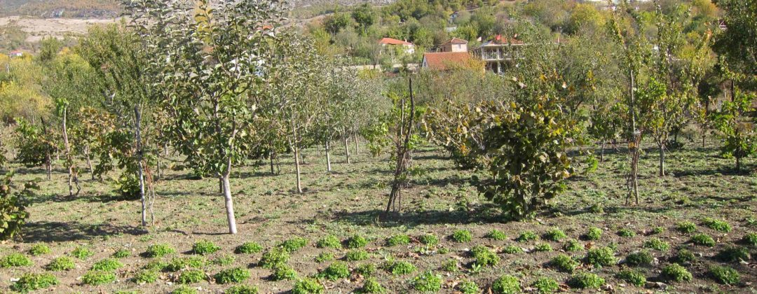 Agro-MAP permaculture Albania