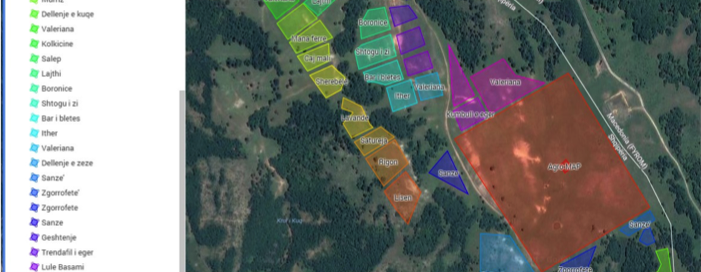 Agro-MAP contract cultivation Albania, Vertragsanbau für Arznei- und Aromapflanzen